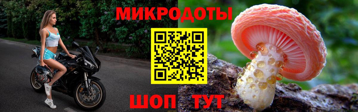 Галлюциногенные грибы Cubensis  как найти   Балашиха  Вход с VPN  Галлюциногенные грибы мицелий 