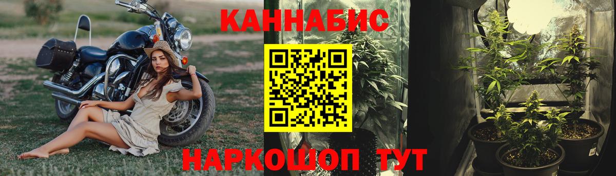 Конопля OG Kush  Каннабис OG Kush  Вход с VPN  Балашиха  Каннабис планчик 